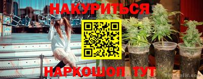 индика Моздок