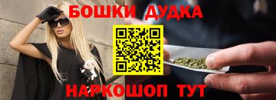 индика Моздок