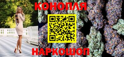 индика Моздок