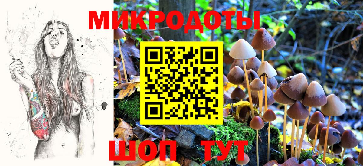 Псилоцибиновые грибы Psilocybine cubensis  Вход с VPN  Ставрополь 