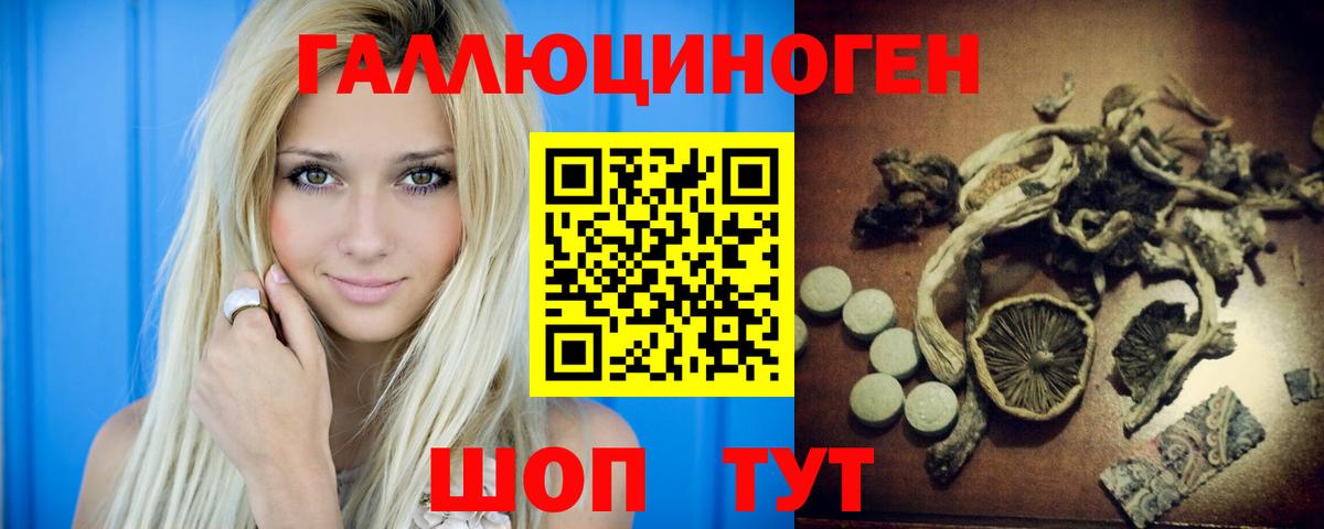 Псилоцибиновые грибы Psilocybine cubensis Ставрополь