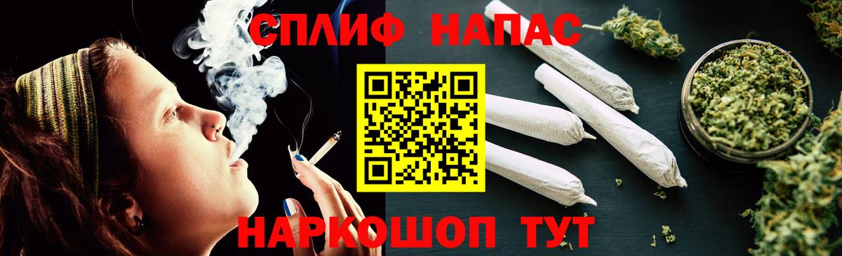 Шишки марихуана планчик Ставрополь